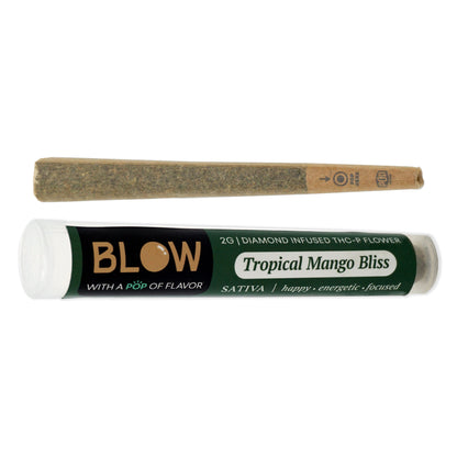 Blow Gas Co Bangers 2g Pre Rolls – Tropical Mango Bliss